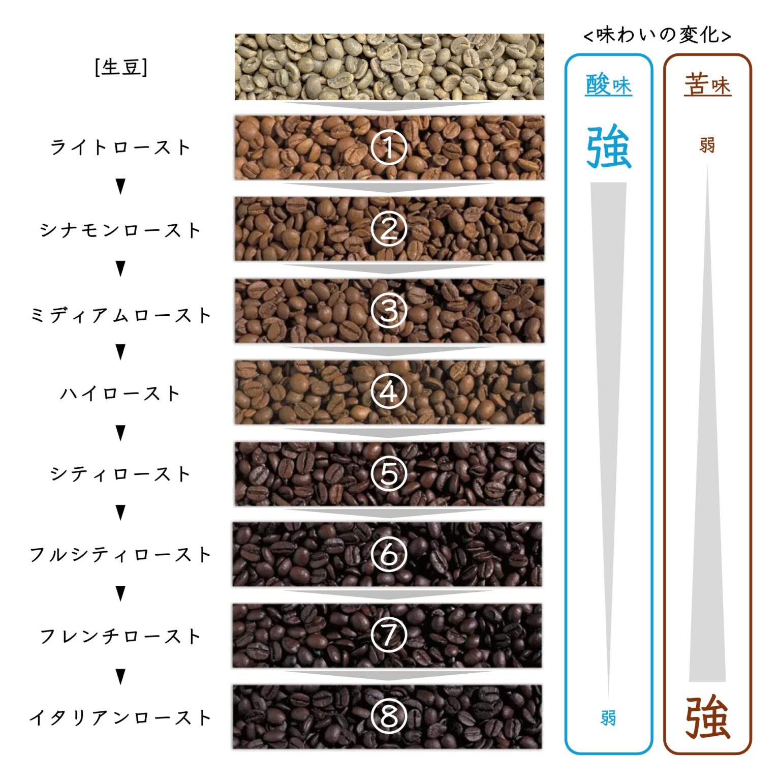 コーヒー豆の焙煎度合いって？焙煎度合いで何が分かる？ | ヤ式焙煎邸